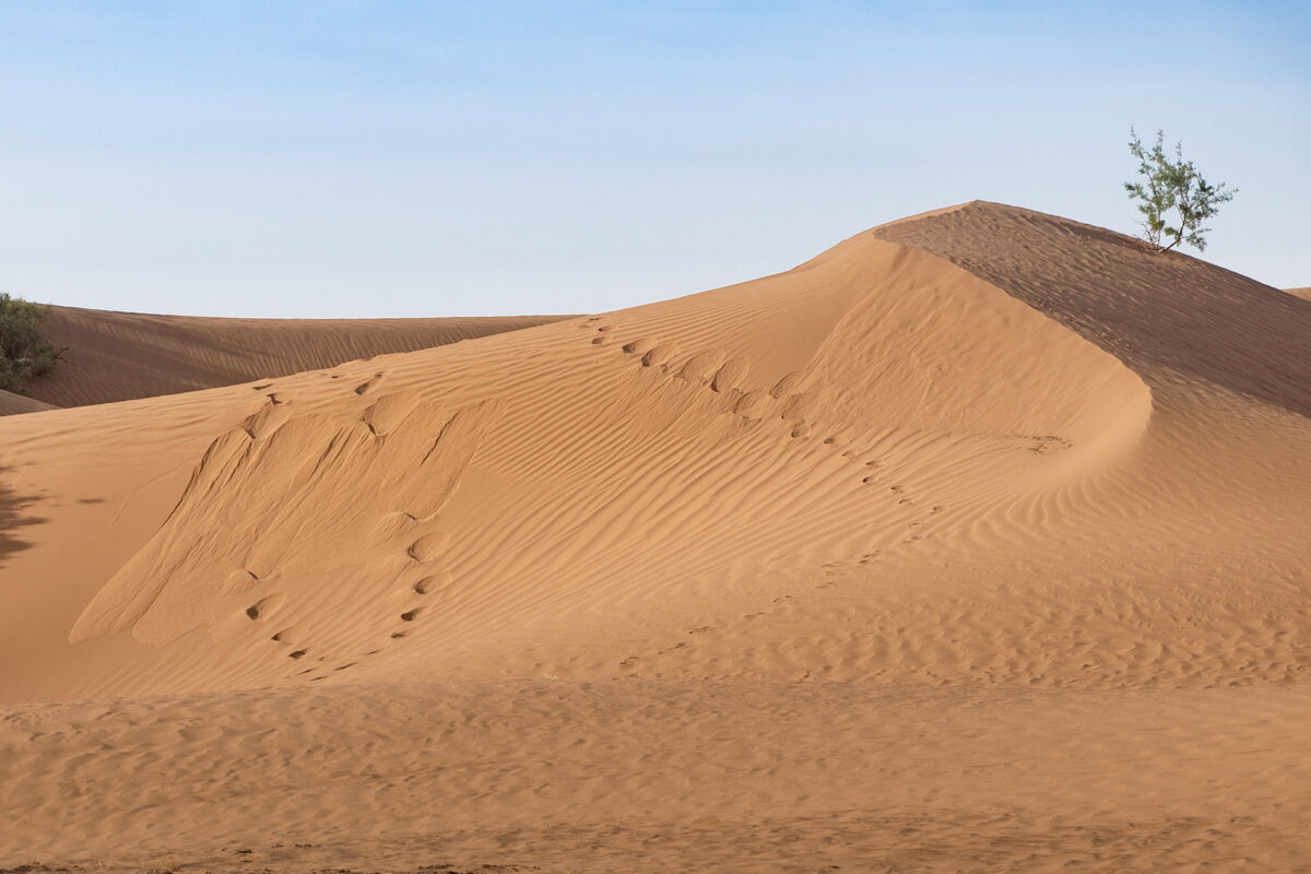 Dune dans le désert accessible en excursion depuis Marrakech
